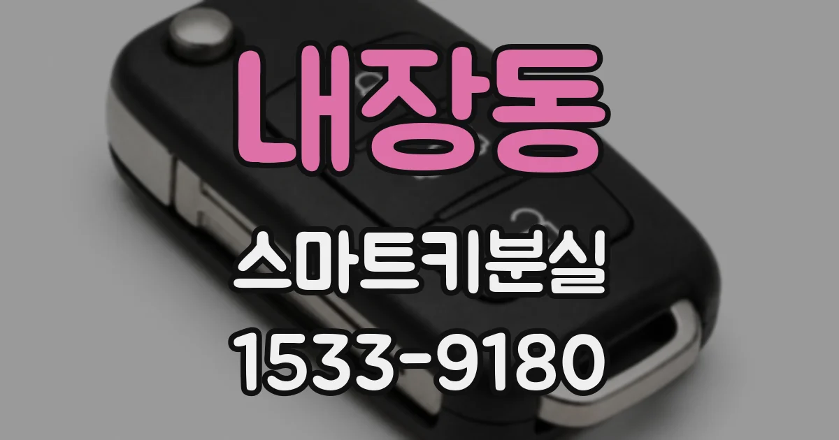 내장동 스마트키분실