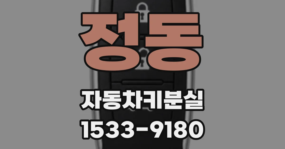 정동 자동차키분실