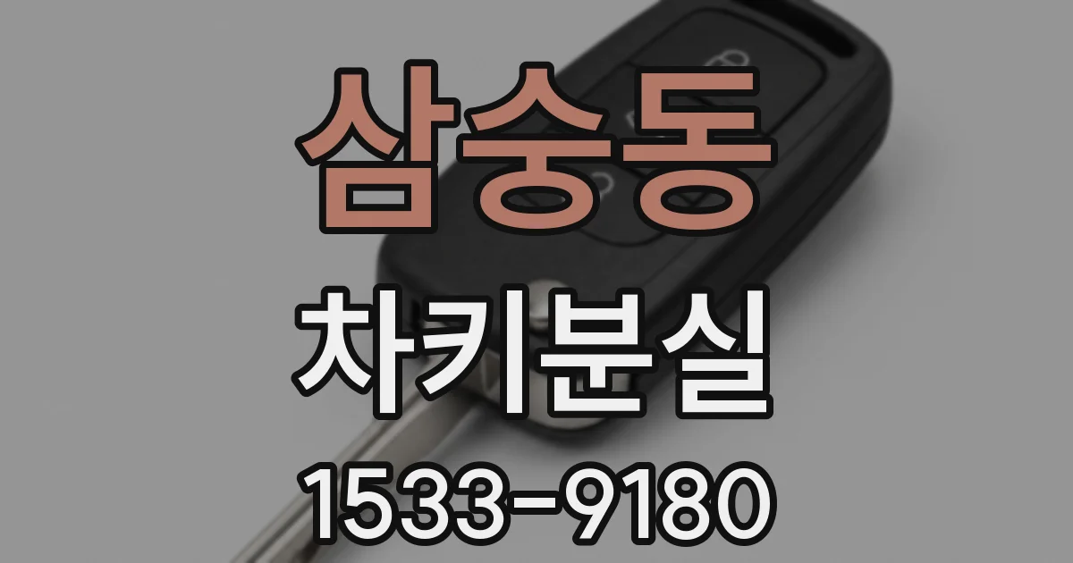 삼숭동 차키분실