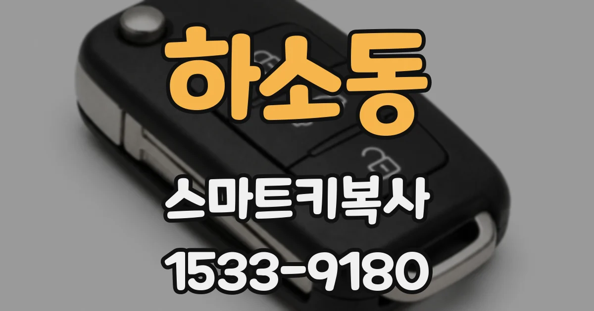 하소동 스마트키복사