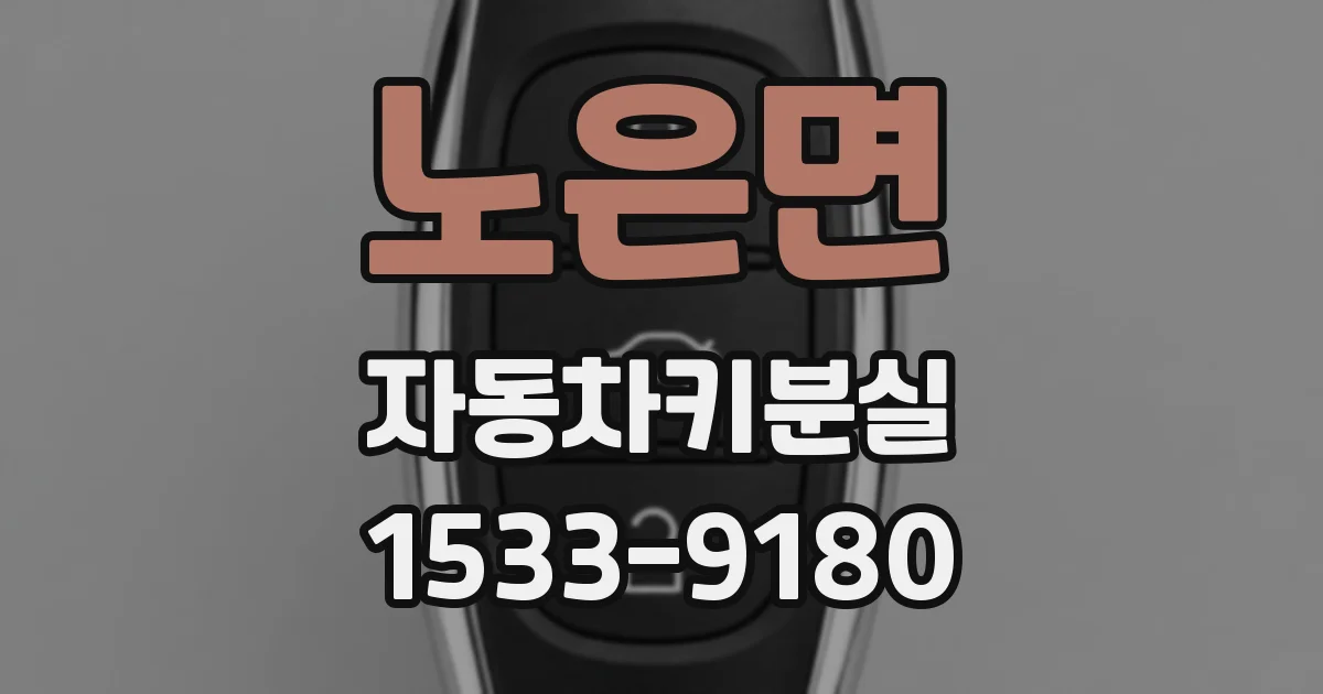 노은면 자동차키분실