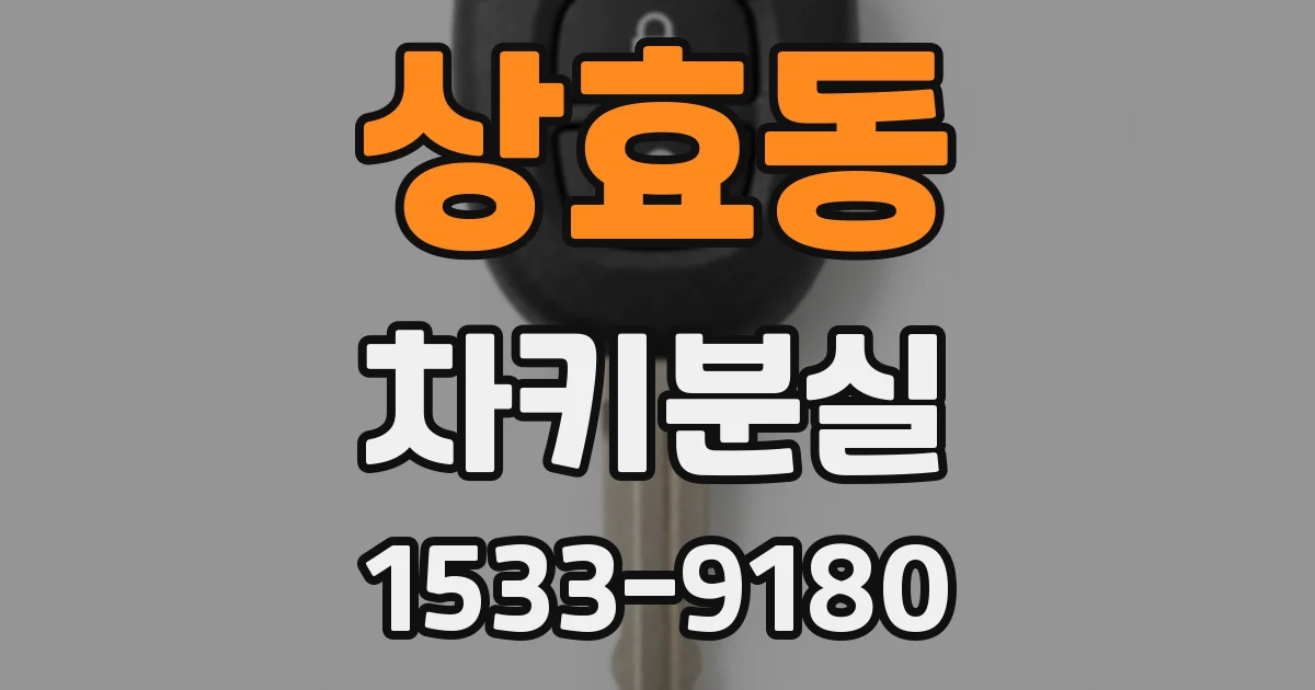 상효동 차키분실