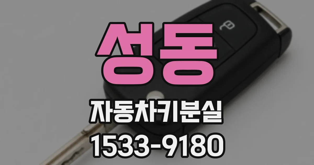 성동 자동차키분실