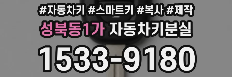 성북동1가 자동차키분실