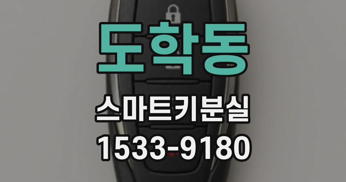 도학동 스마트키분실