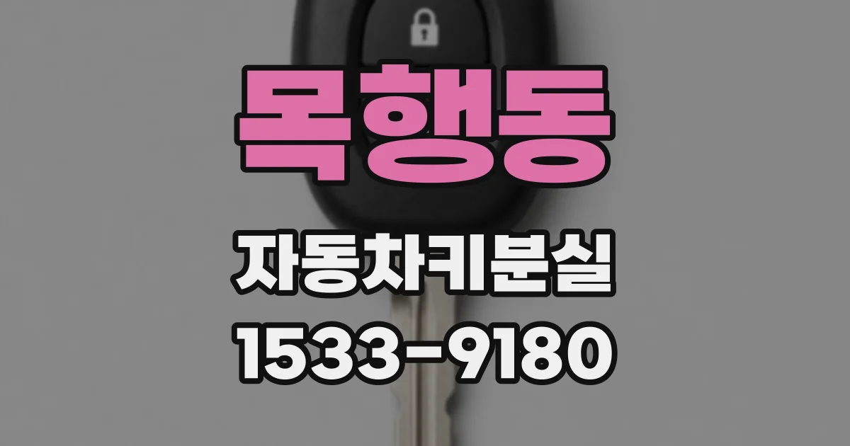 목행동 자동차키분실