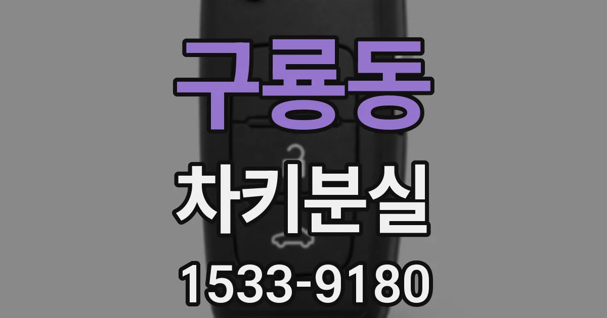 구룡동 차키분실