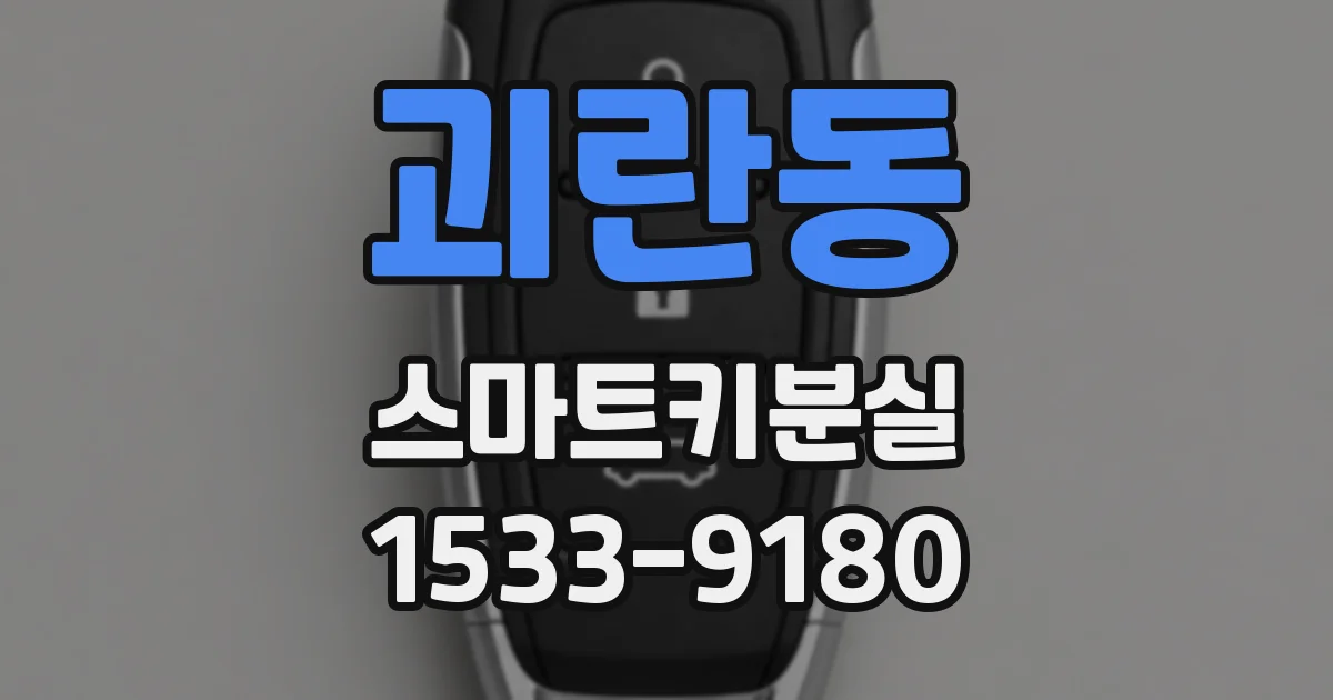 괴란동 스마트키분실
