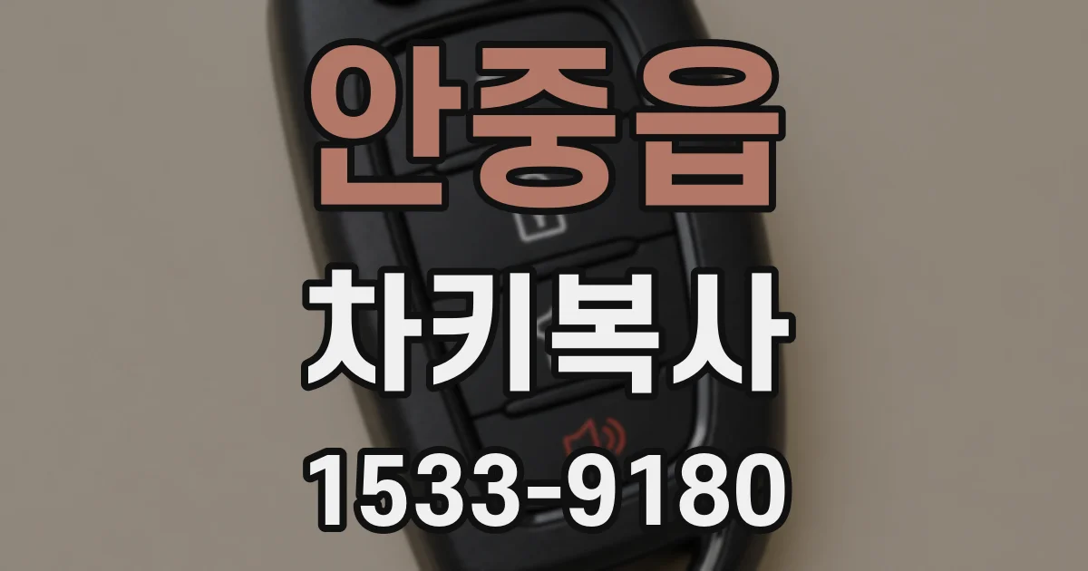 안중읍 차키복사