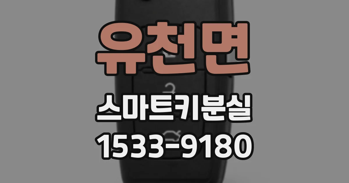 유천면 스마트키분실