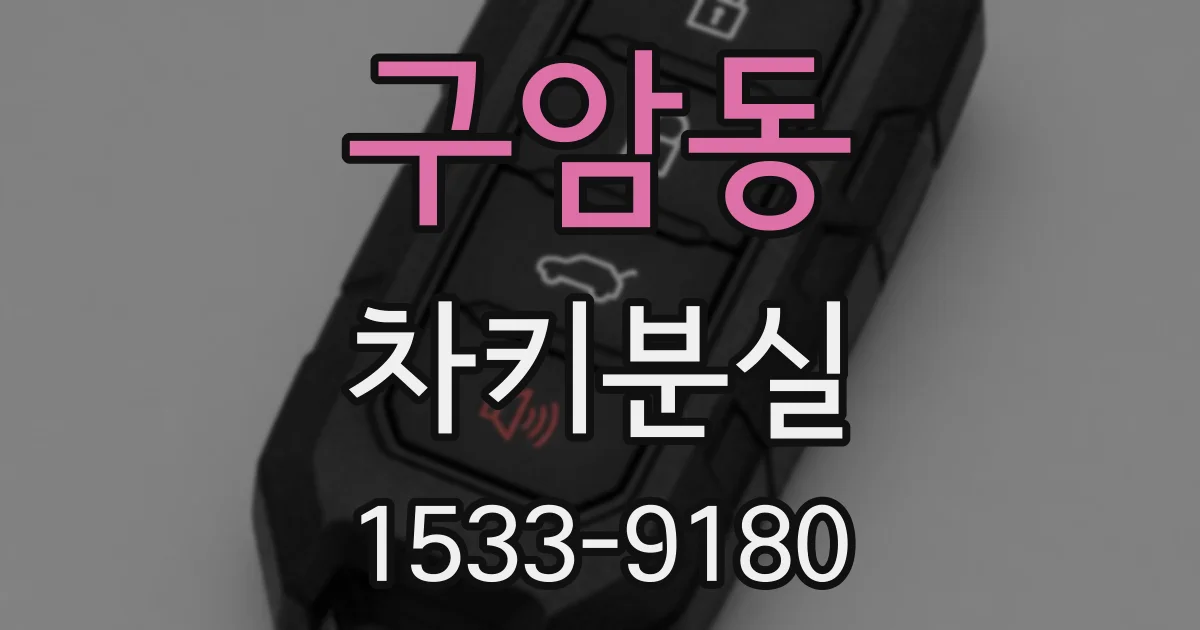 구암동 차키분실