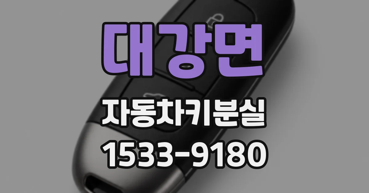 대강면 자동차키분실