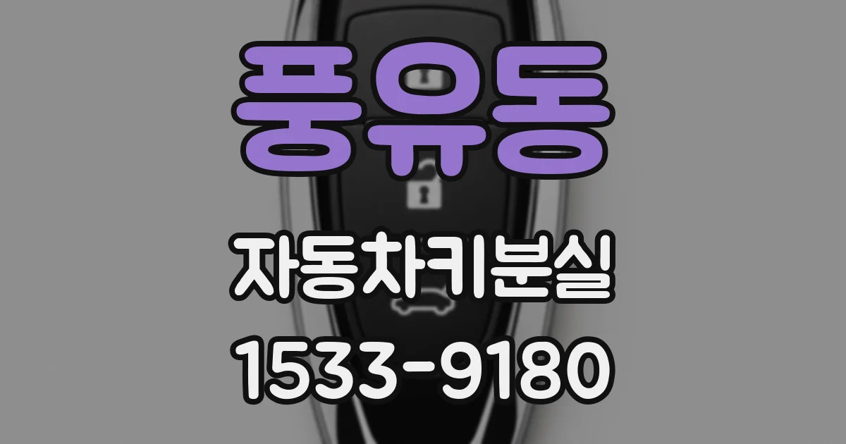 풍유동 자동차키분실