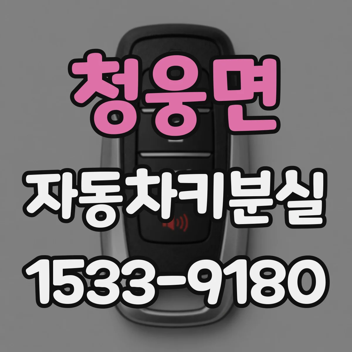 청웅면 자동차키분실