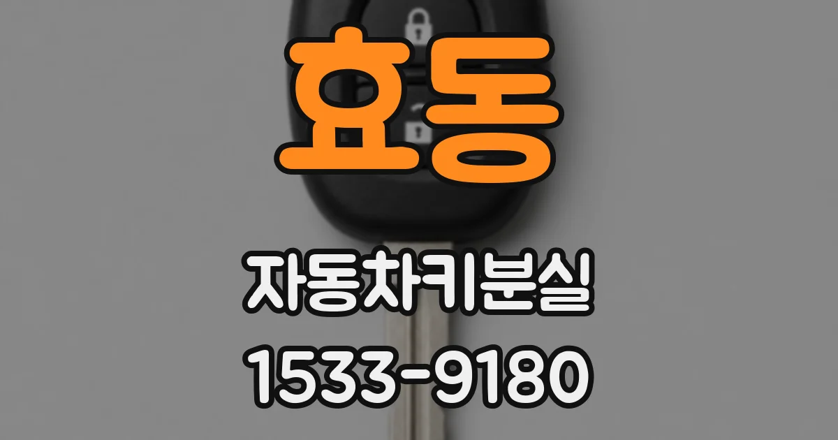 효동 자동차키분실