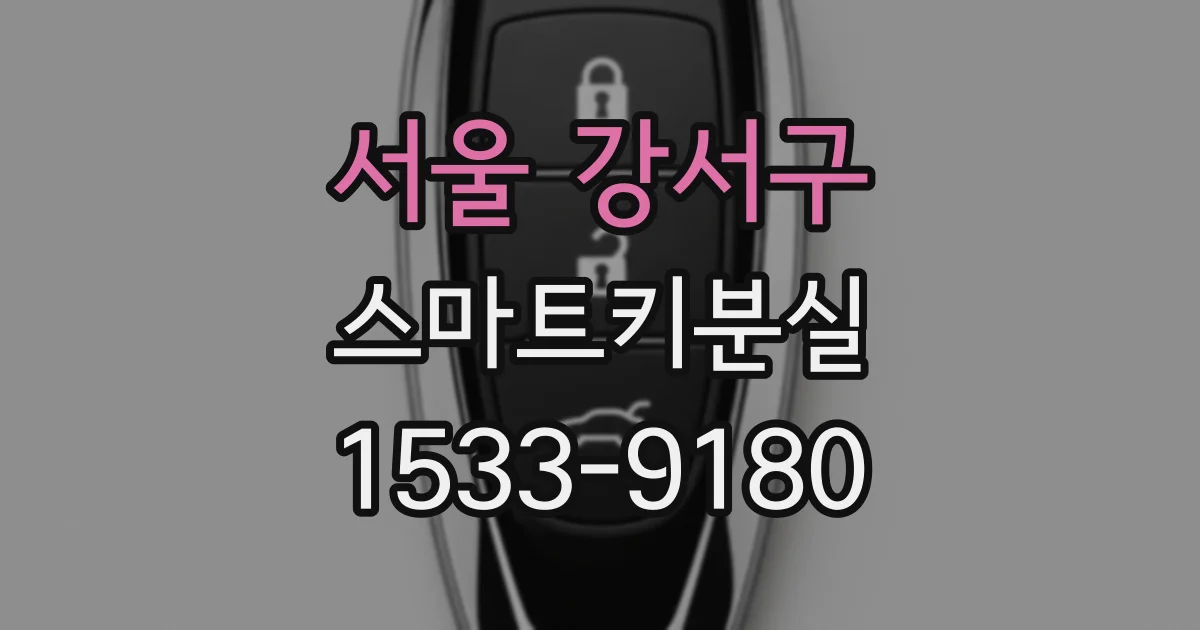서울 강서구 스마트키분실