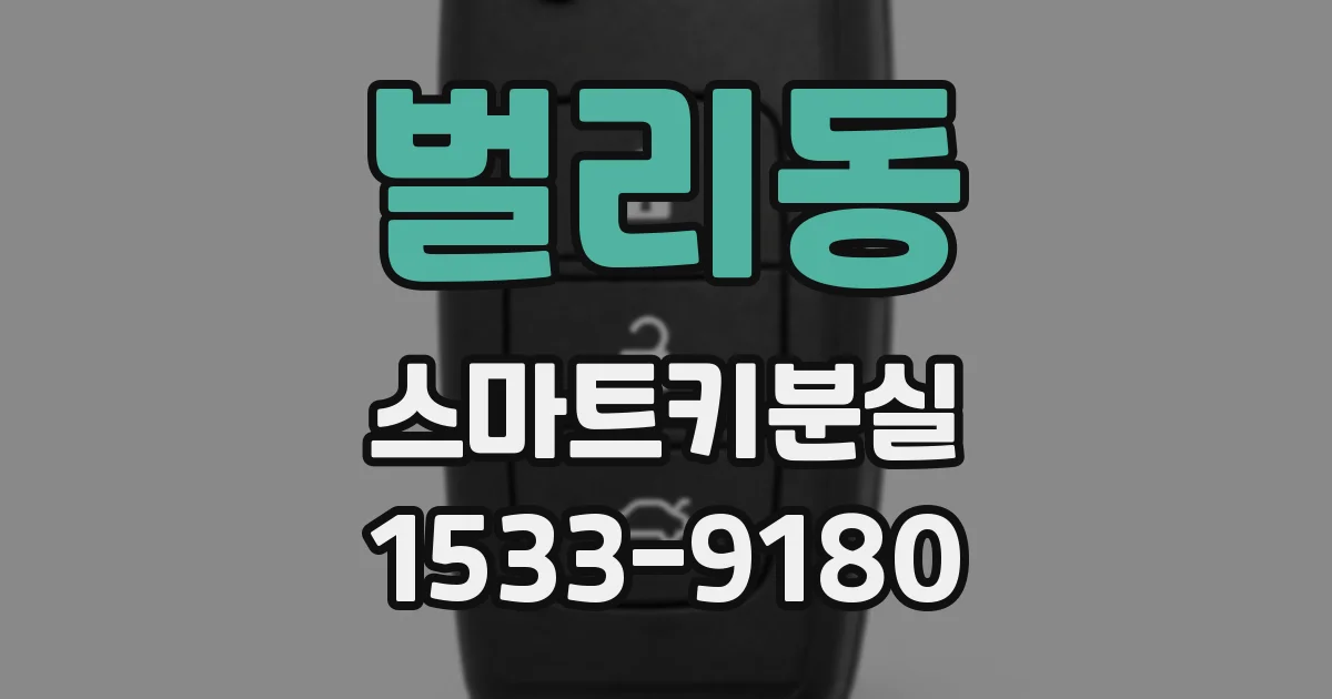벌리동 스마트키분실