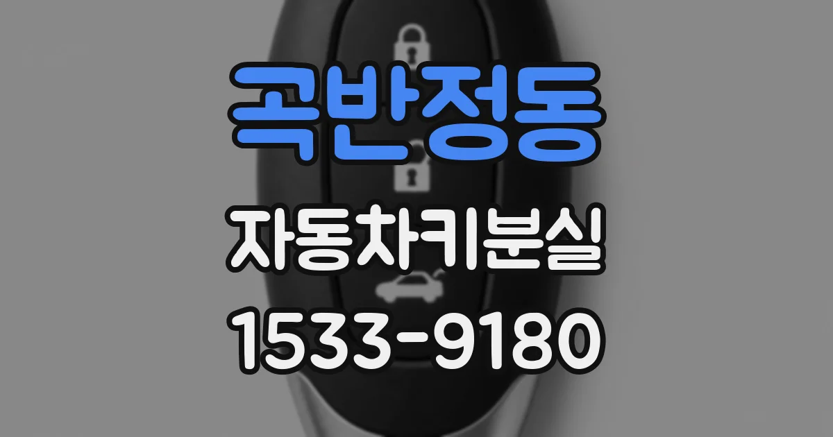 곡반정동 자동차키분실