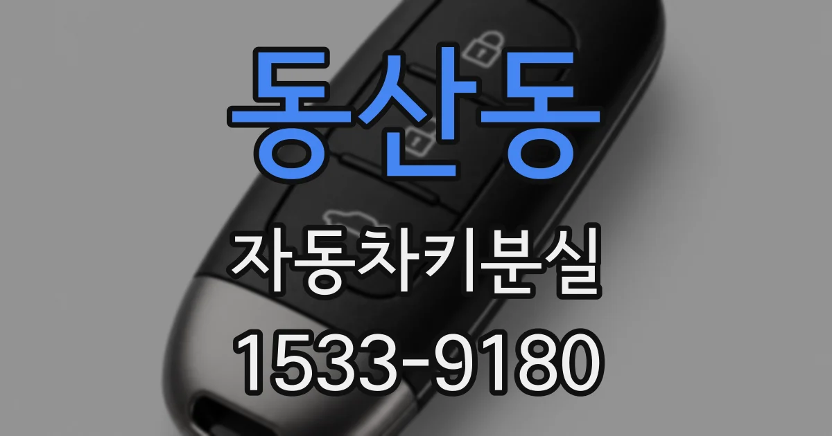 동산동 자동차키분실