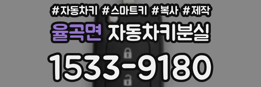 율곡면 자동차키분실