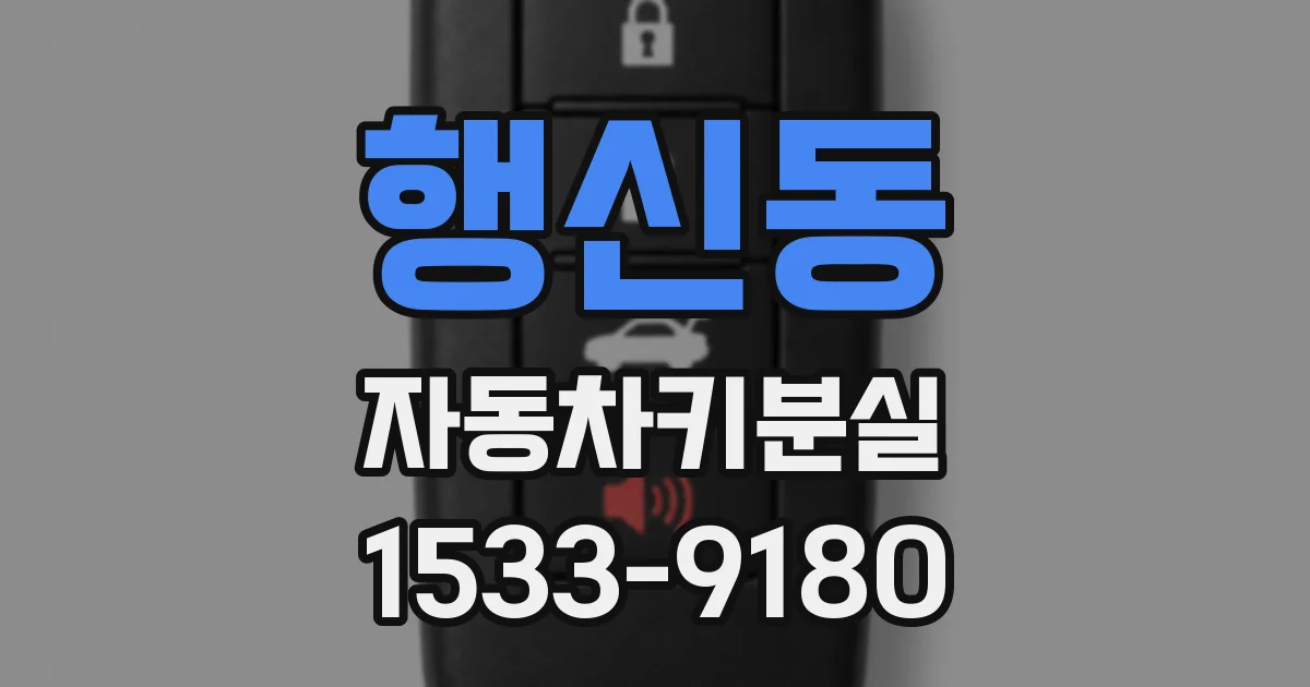 행신동 자동차키분실