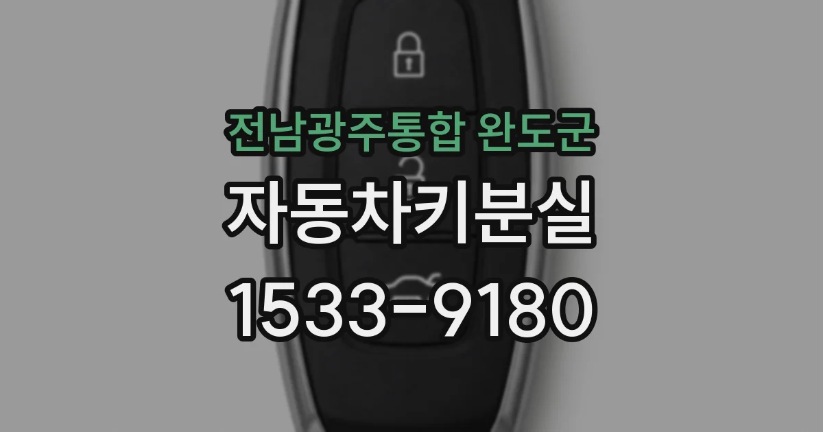 전남광주통합 완도군 자동차키분실