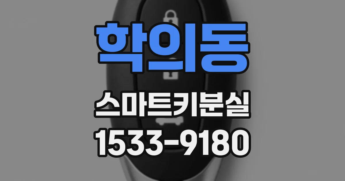 학의동 스마트키분실