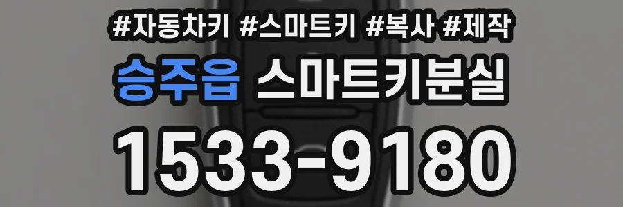 승주읍 스마트키분실
