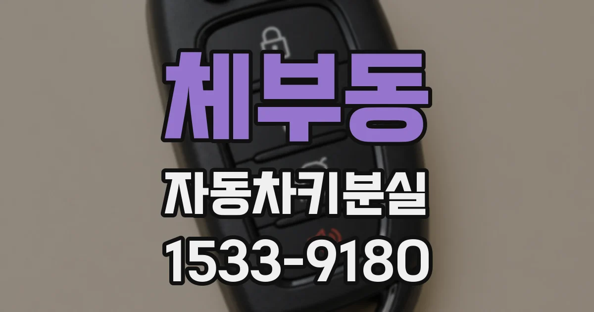 체부동 자동차키분실