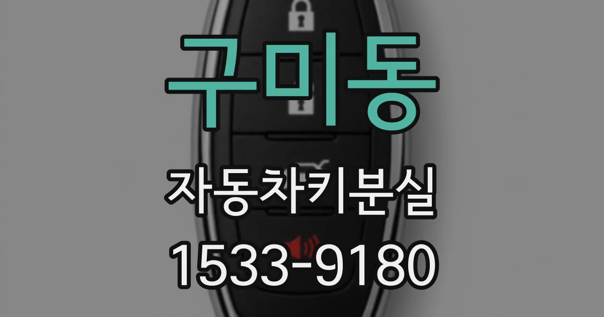 구미동 자동차키분실