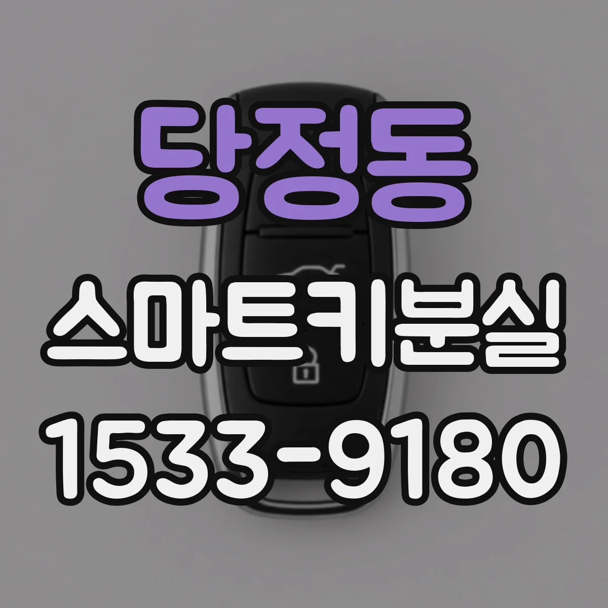 당정동 스마트키분실
