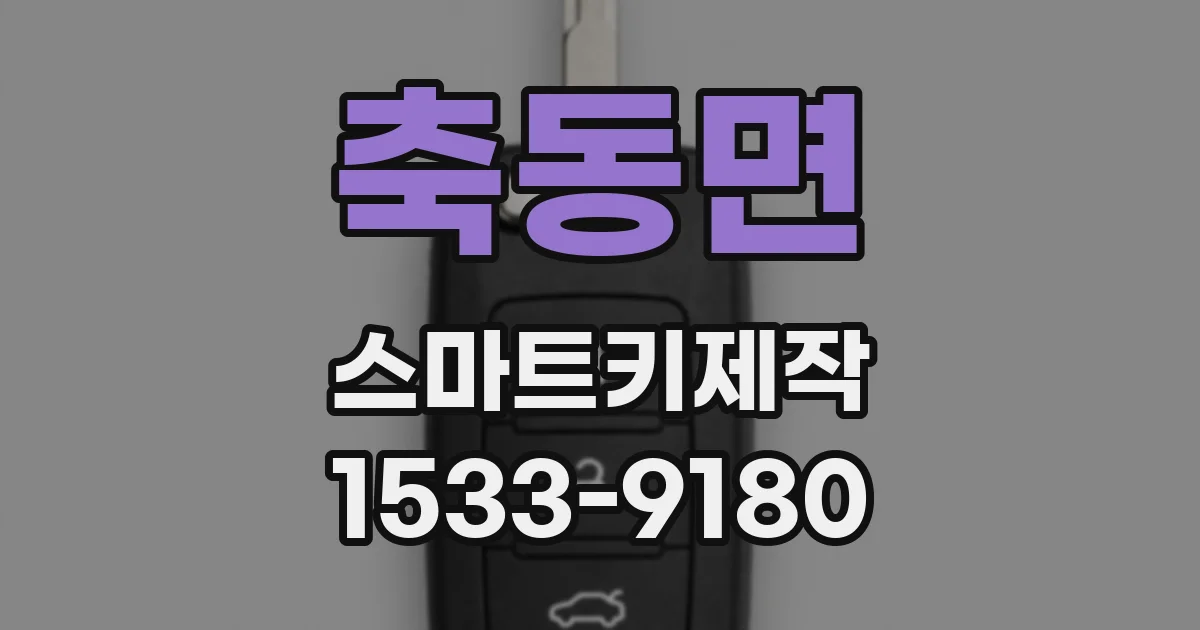 축동면 스마트키제작