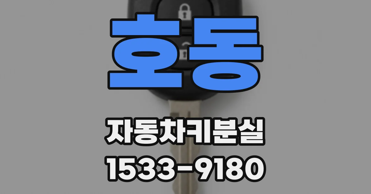 호동 자동차키분실