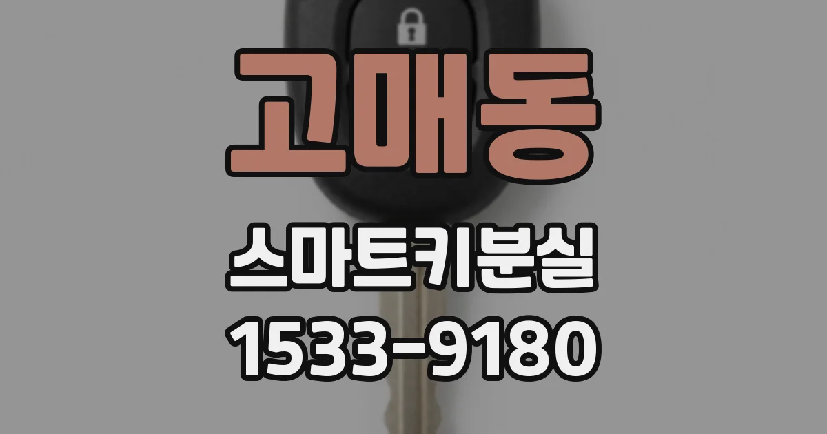 고매동 스마트키분실