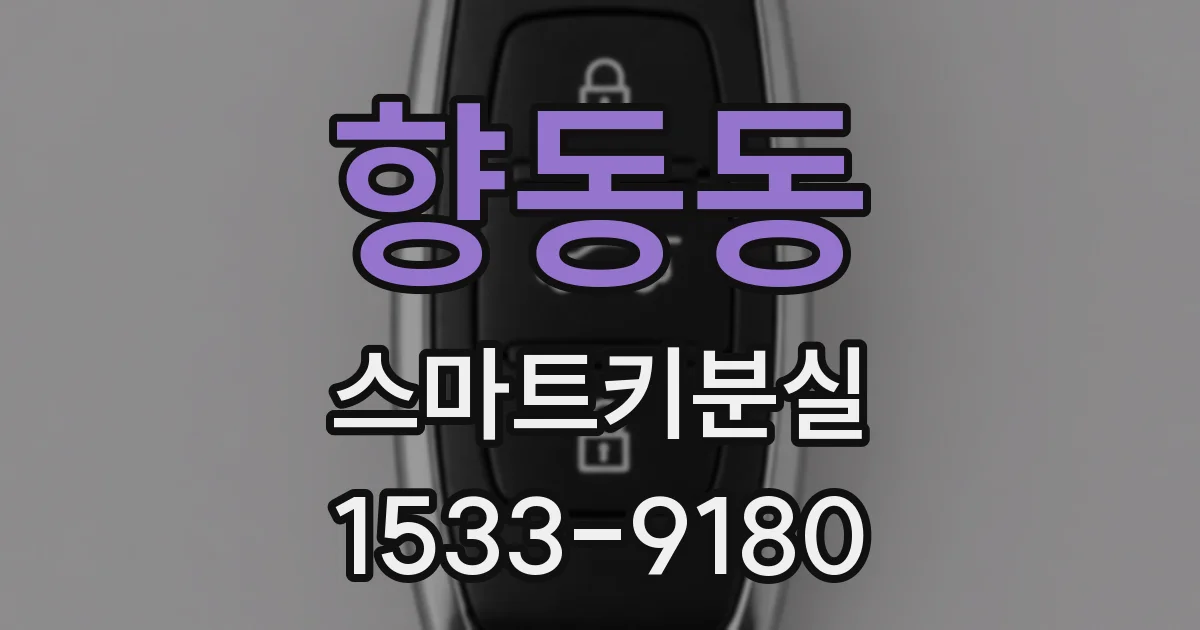 향동동 스마트키분실