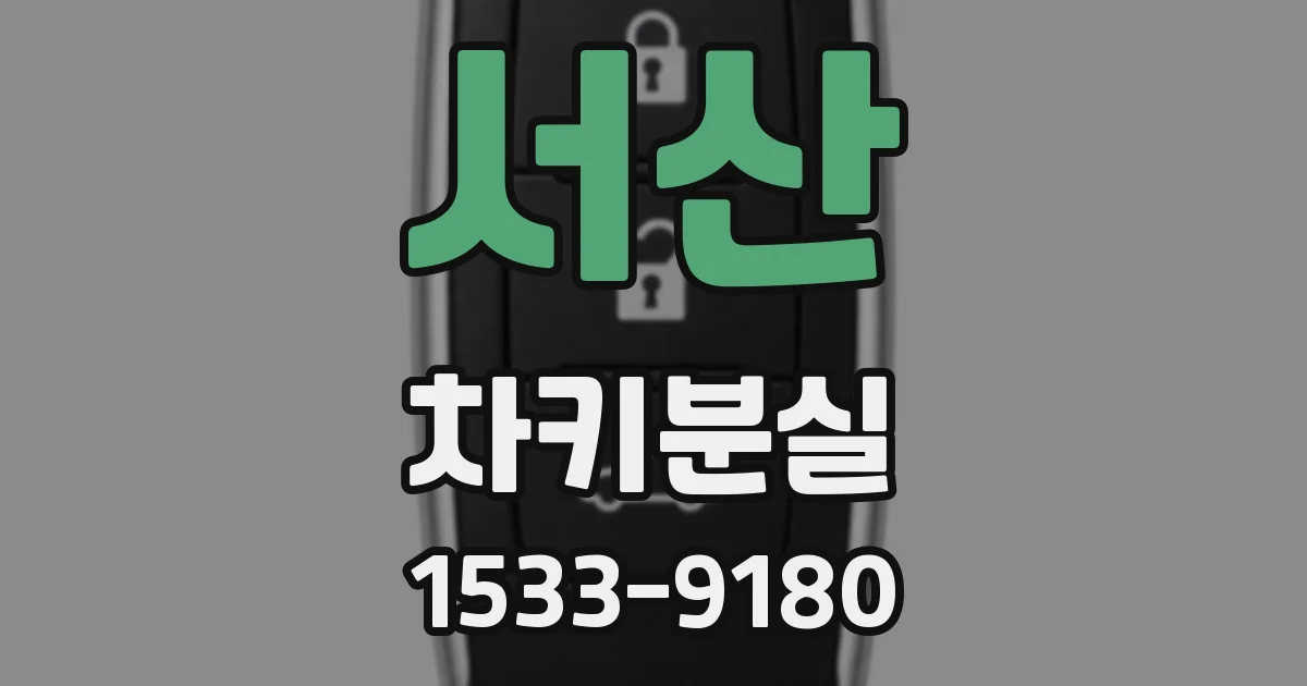 서산 차키분실