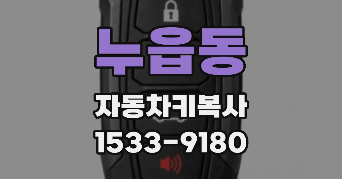 누읍동 자동차키복사