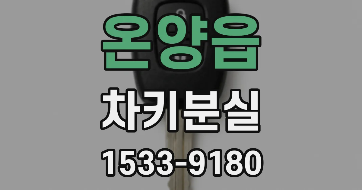 온양읍 차키분실