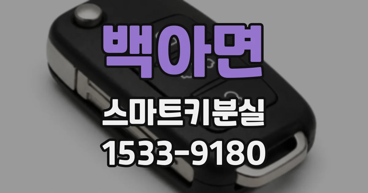 백아면 스마트키분실