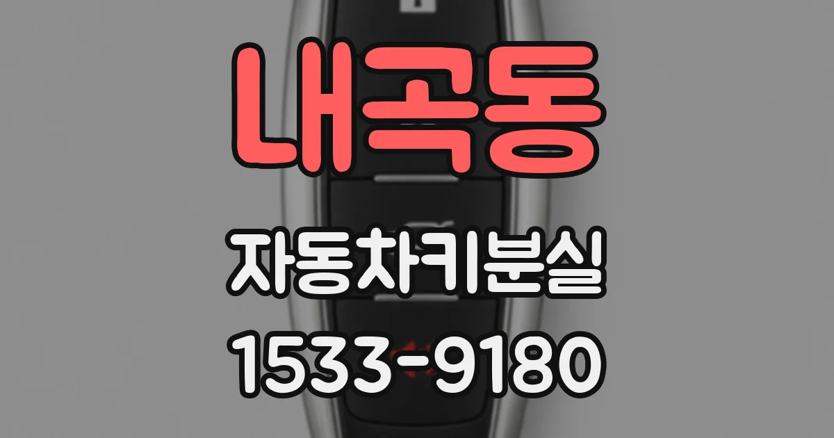 내곡동 자동차키분실