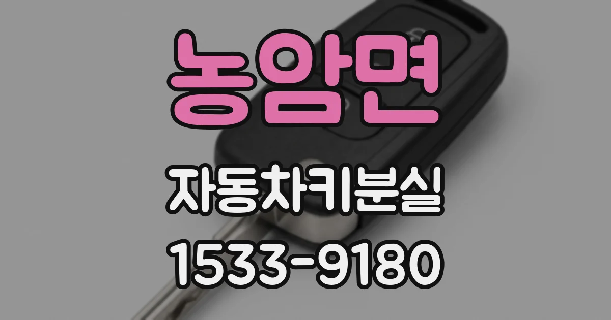농암면 자동차키분실