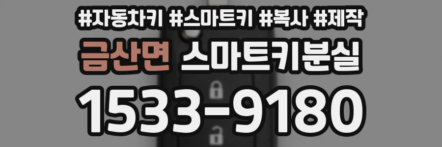 금산면 스마트키분실
