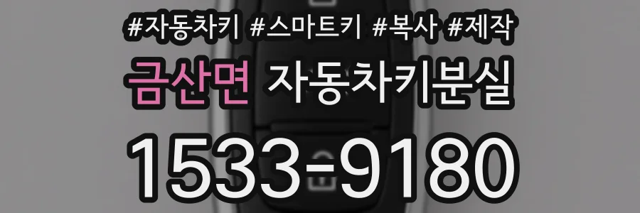 금산면 자동차키분실