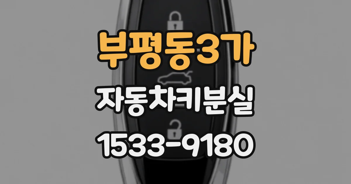 부평동3가 자동차키분실