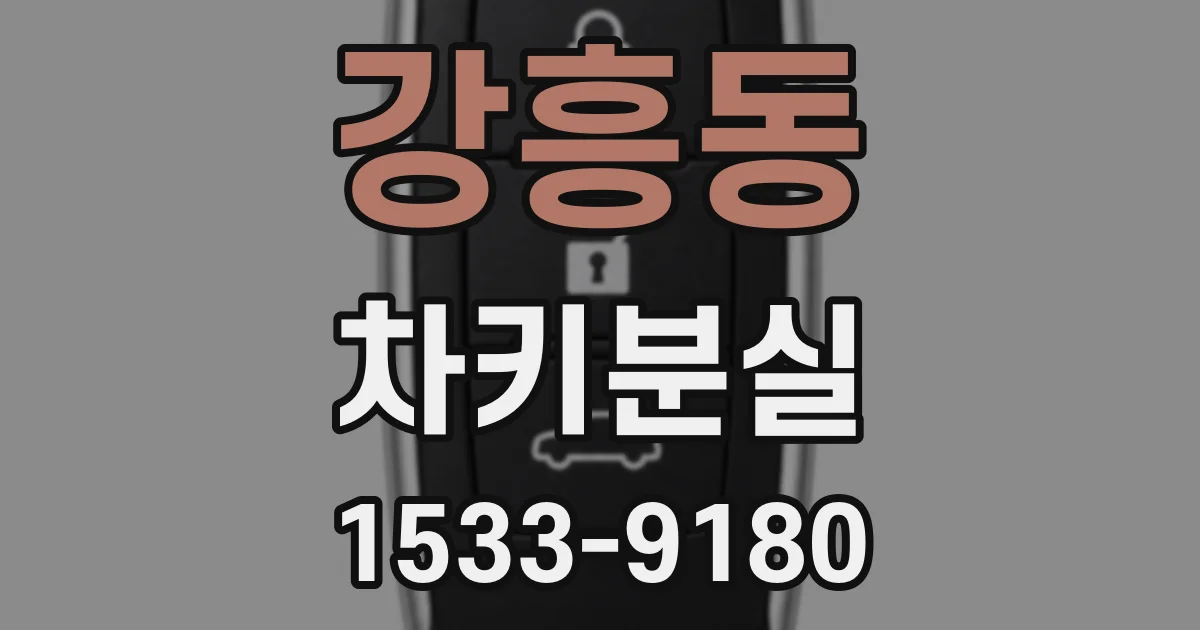강흥동 차키분실