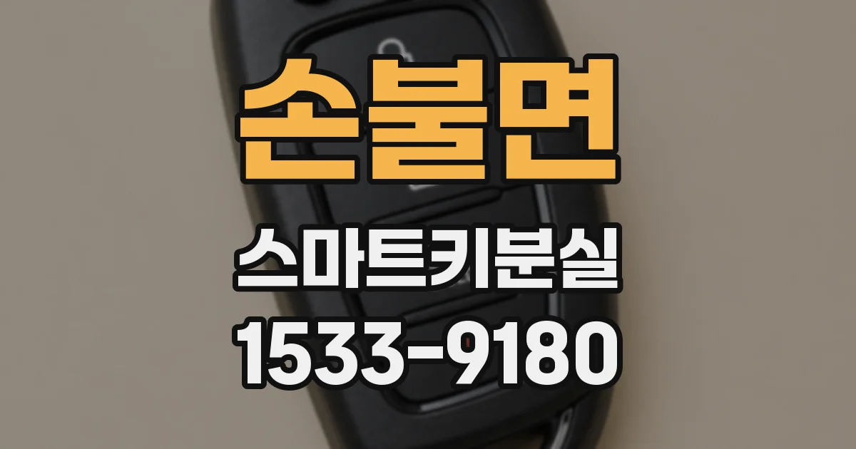 손불면 스마트키분실