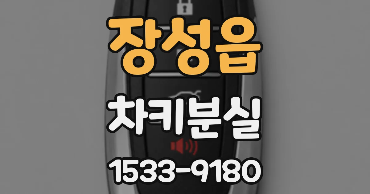 장성읍 차키분실