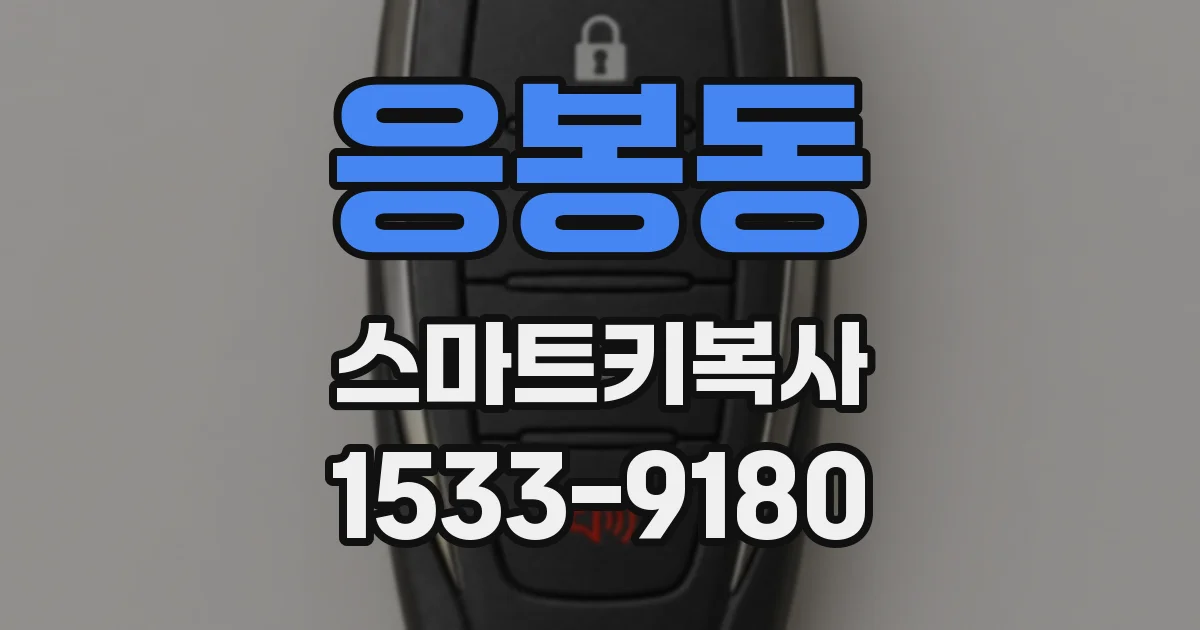 응봉동 스마트키복사