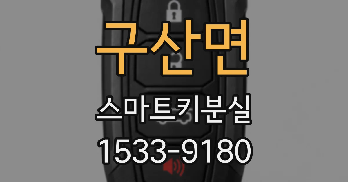 구산면 스마트키분실