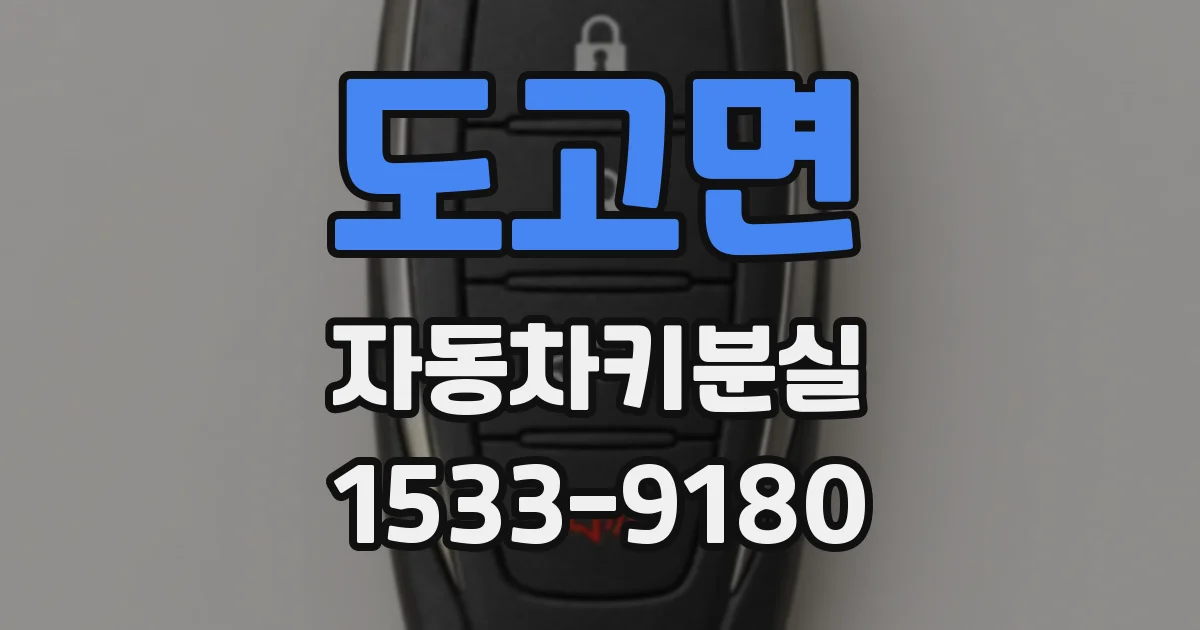 도고면 자동차키분실